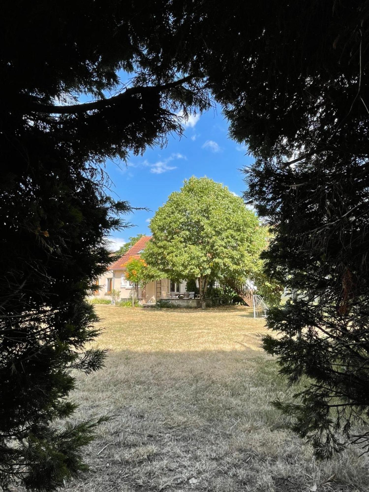 Le Clos Des Trois Provinces, Zoo De Beauval Noyers-sur-Cher Exterior foto